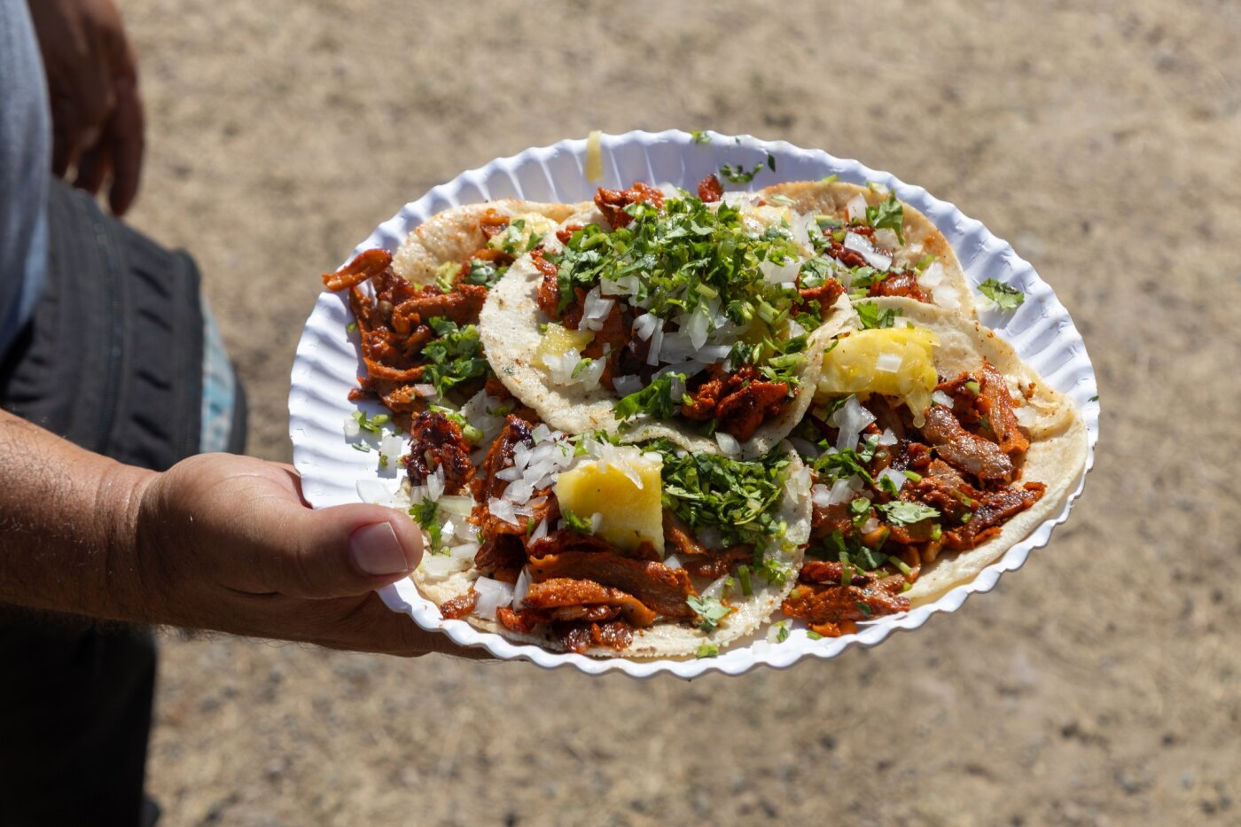 Novena Edición de la Feria del Taco 2026