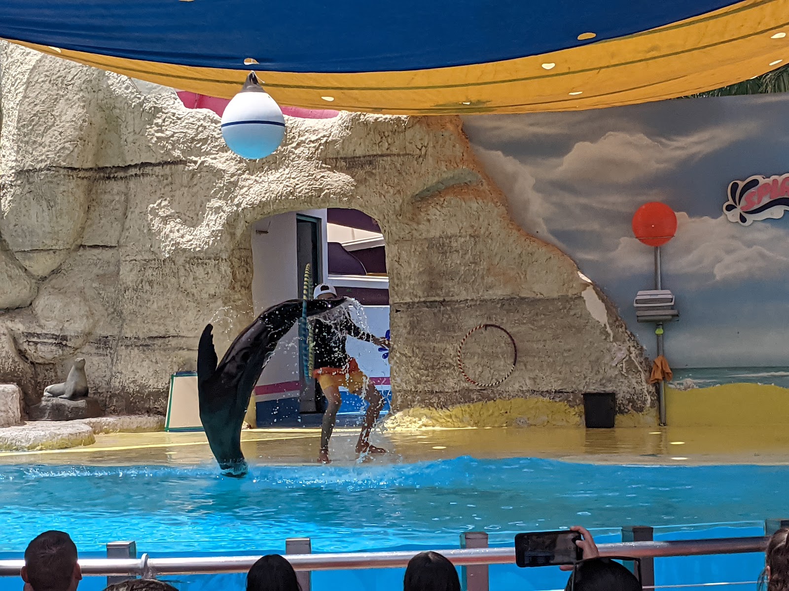 Splash Parque Acuatico Vallarta