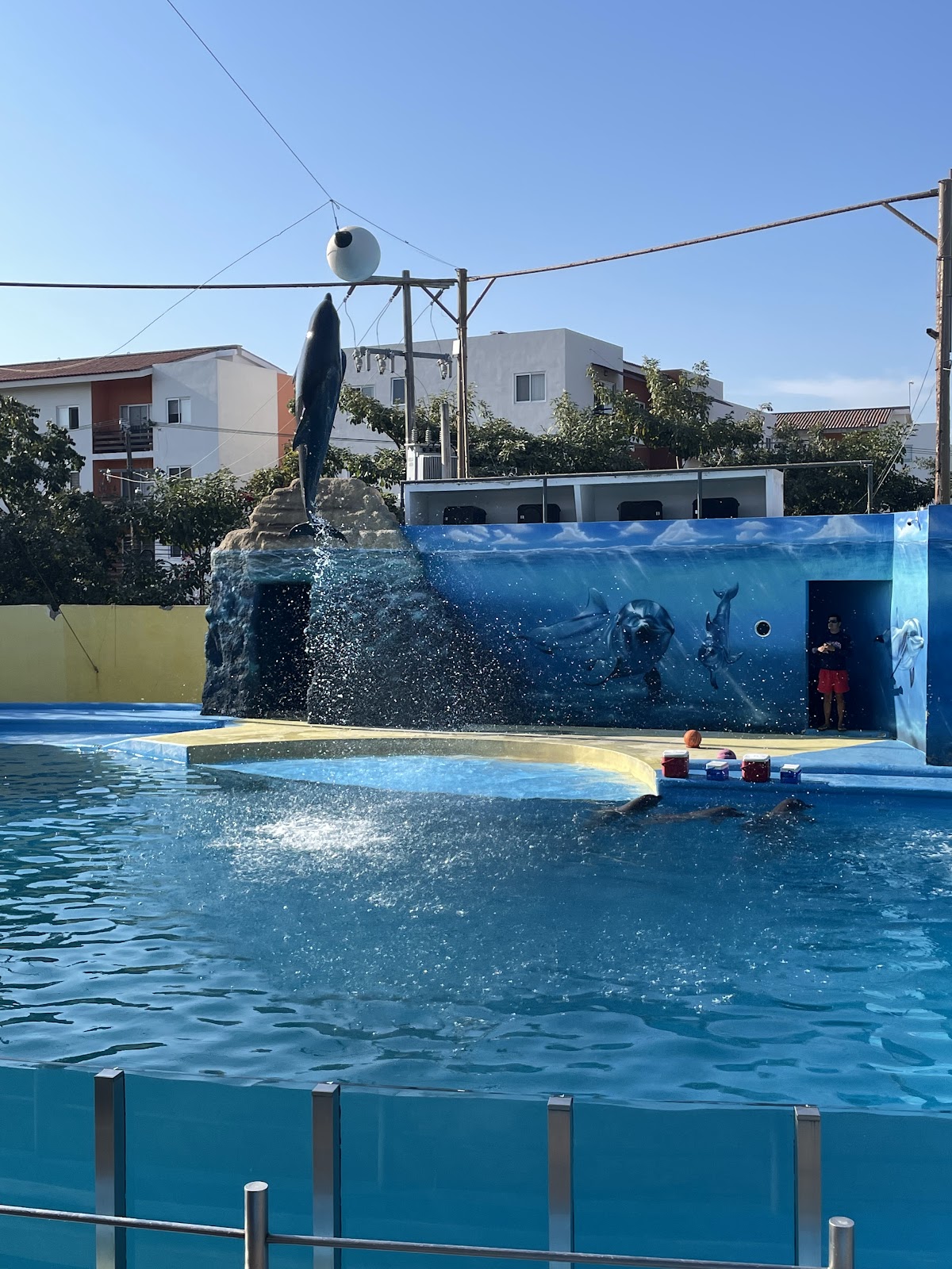 Splash Parque Acuatico Vallarta