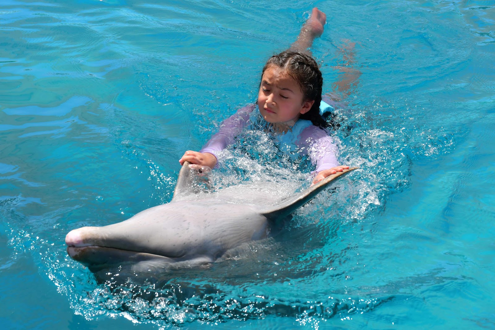 Dolphin Discovery Puerto Vallarta