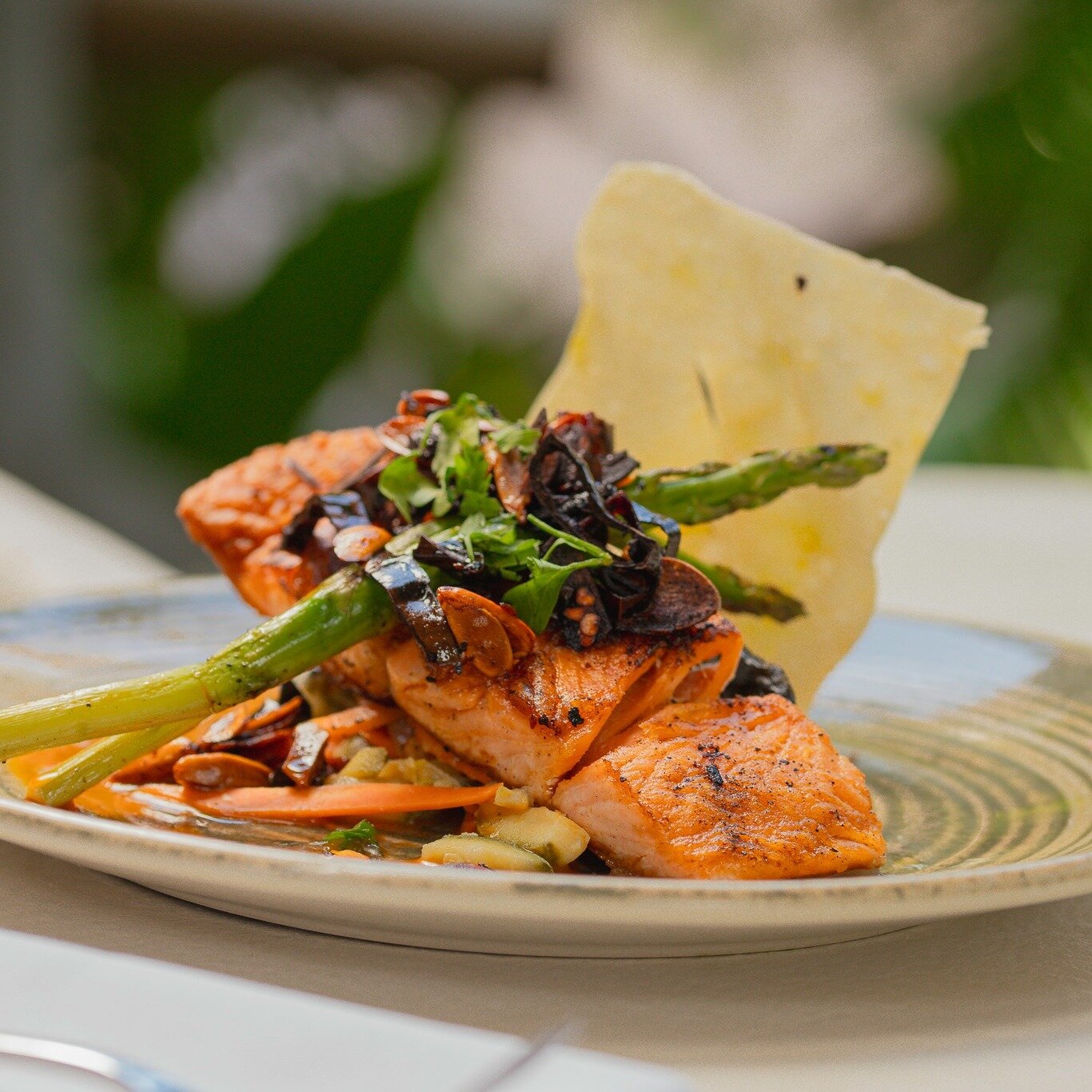 Santo Coyote Puerto Vallarta