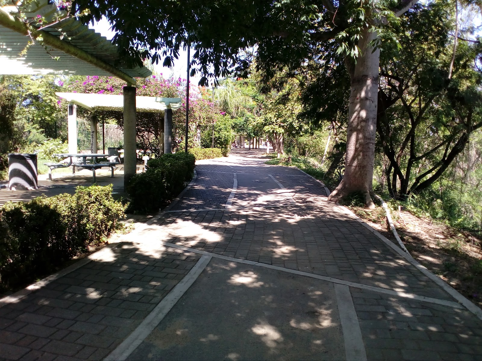 Parque Lineal Rio Pitillal