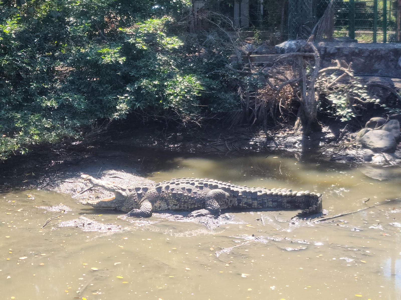 Santuario De Cocodrilos El Cora