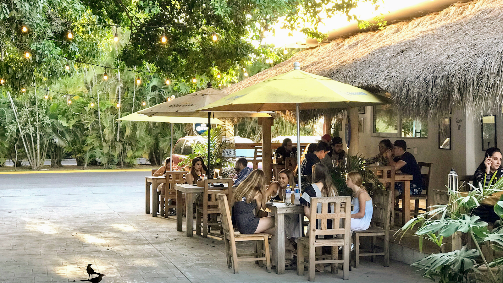 La Ola de Vallarta Nuevo Nayarit