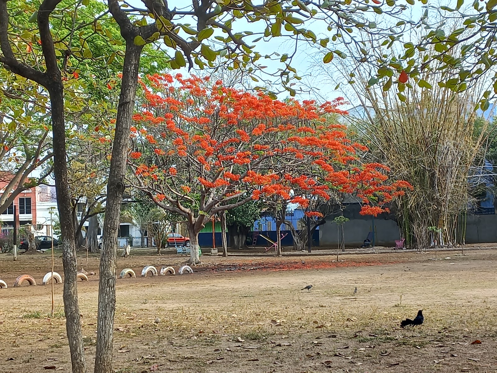 Parque Los Pajaros